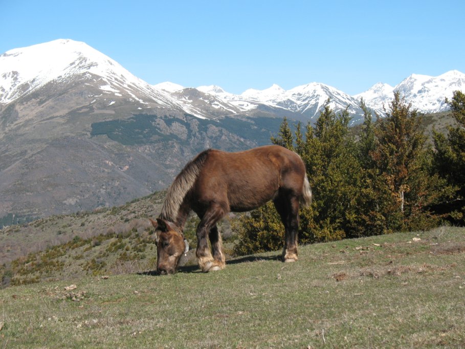 Parc Natural De L'Alt Pirineu