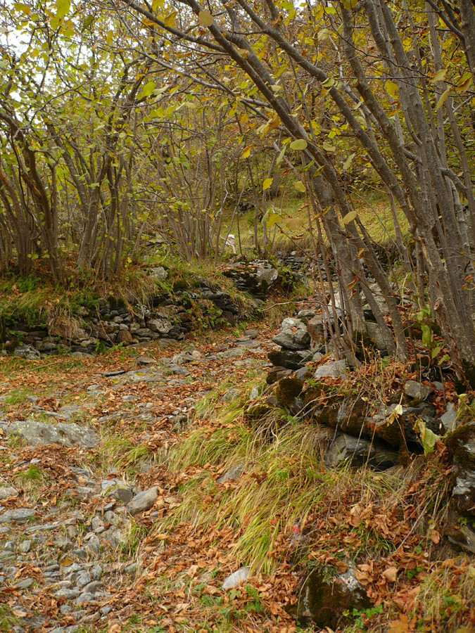 La Vall De Riqüerna